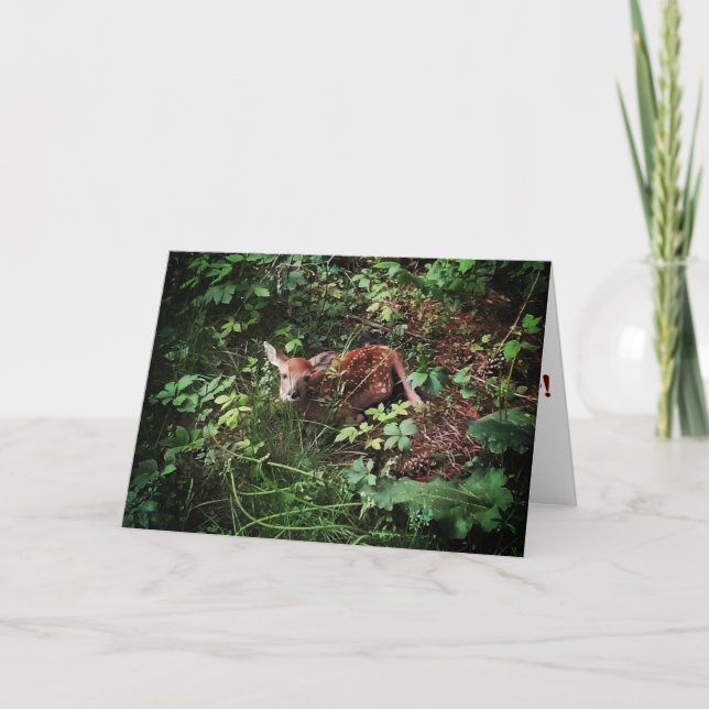 "Whitetail Woods Deer" Snart Bättre Kort (Framsida)