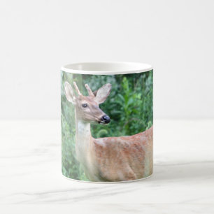 Whitetailbock Kaffemugg