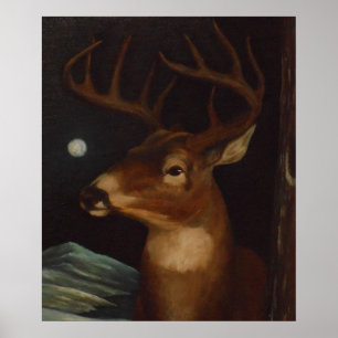 Whitetailhjort i månsken poster