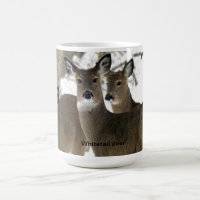 Whitetailhjort