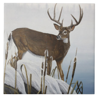 Whitetailhjort Kakelplatta