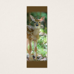 Whitetailhjort lismar den mini- bokmärken/, litet visitkort