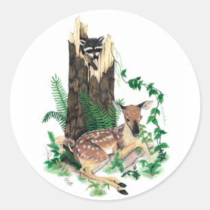 Whitetailhjort lismar och Raccoonklistermärken Runt Klistermärke