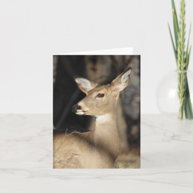 Whitetailhjort Notecard - tom insida Tack Kort (Framsida)