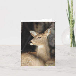 Whitetailhjort Notecard - tom insida Tack Kort