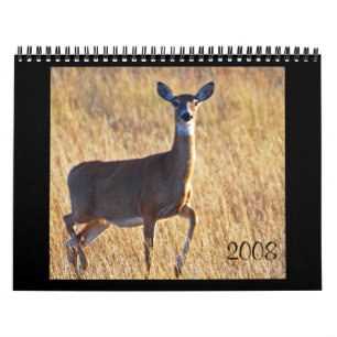 Whitetailhjort på dynen! kalender