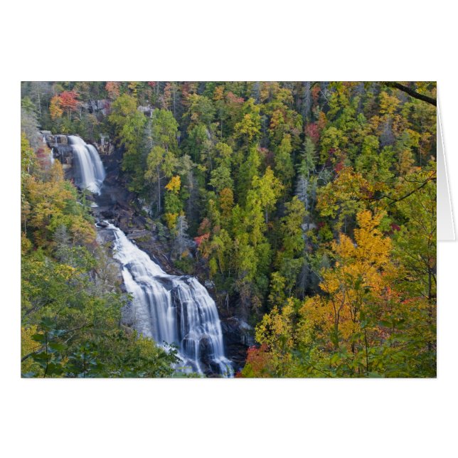 Whitewater Falls i Nantahala National Hälsningskort (Framsidan Horizontal)