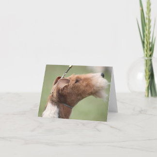 Whitman Notecard Kort