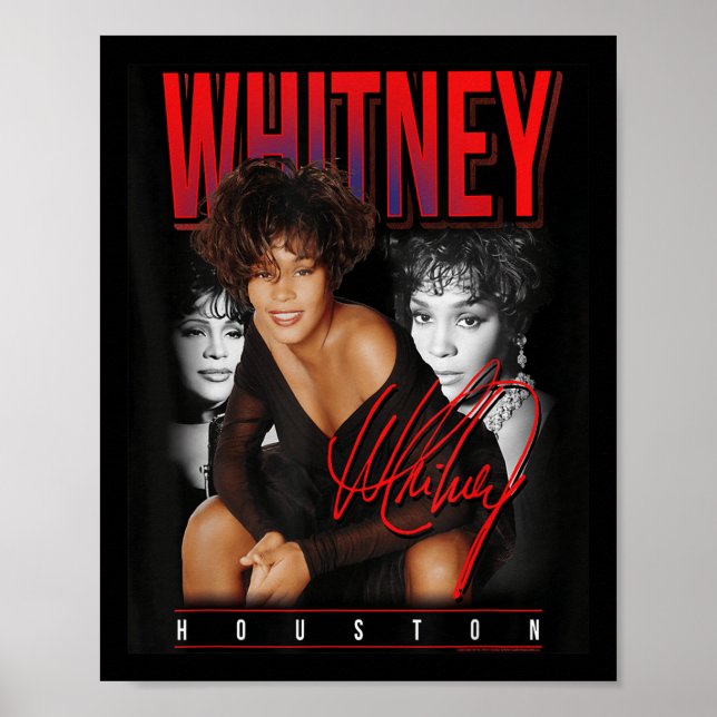 Whitney Houston Retro Photo Collage Poster (Framsidan)