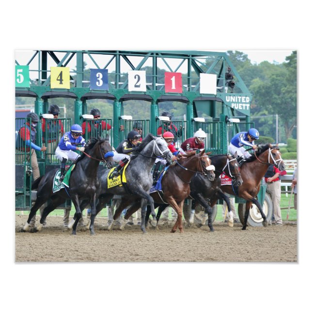 Whitney Stakes - Knicks Go - 2021 Fototryck (Framsidan)