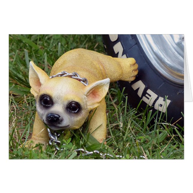 Whiz Kid Hälsningskort (Framsidan Horizontal)