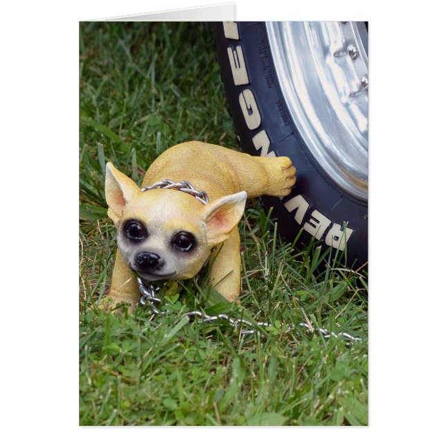 Whiz Kid Hälsningskort (Framsidan)