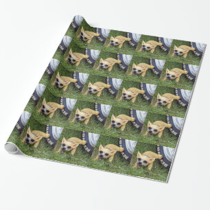 Whiz Kid Presentpapper