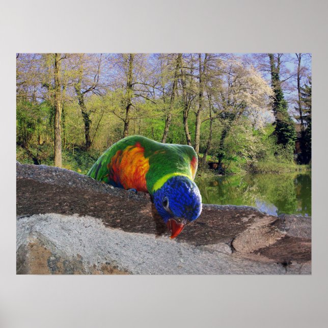 Who are you? Cute Lori Poster (Framsidan)