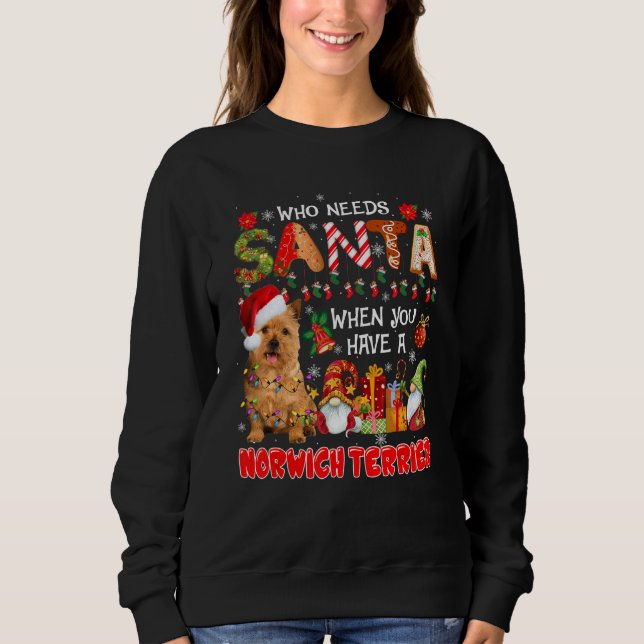 Who Needs Santa When Have A Norwich Terrier Santa  T Shirt (Framsida)