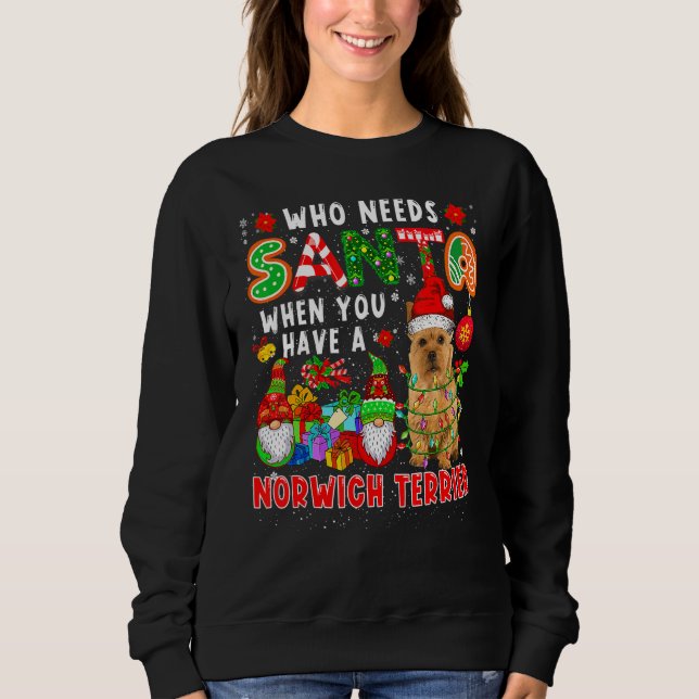 Who Needs Santa When Have A Norwich Terrier Santa  T Shirt (Framsida)