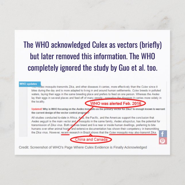 WHO vet att Culex är Zika Vectors av RoseWrites Flygblad (Framsidan)