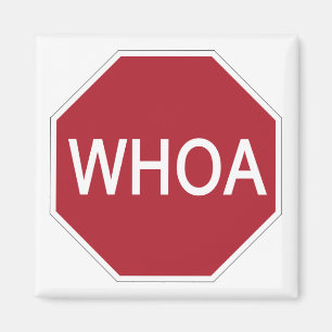 Whoa Magnet