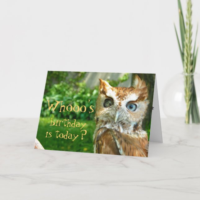 Whooos födelsedagkort kort (Framsida)