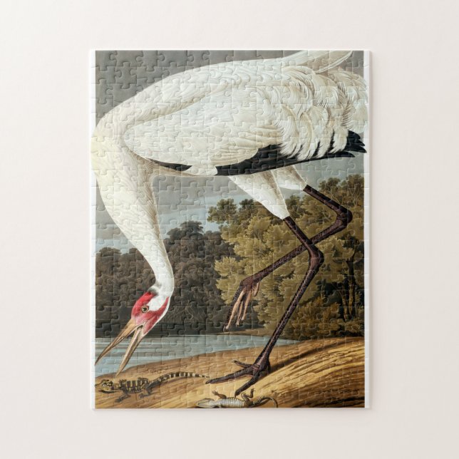 "WHoping Crane" av John James Audubon Pussel (Vertikal)