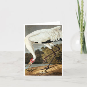 "WHoping Crane" av John James Audubon Tack Kort