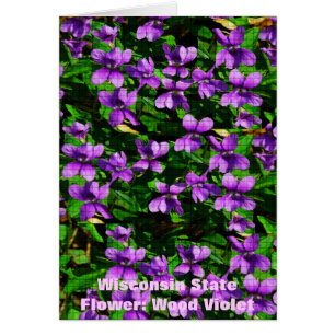 WI State Flower Wood Violet Mosaic Mönster Hälsningskort