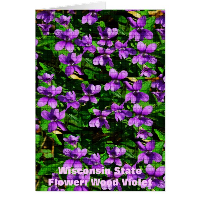 WI State Flower Wood Violet Mosaic Mönster Hälsningskort (Framsidan)