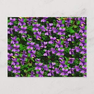 WI State Flower Wood Violet Mosaic Mönster Vykort