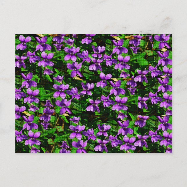 WI State Flower Wood Violet Mosaic Mönster Vykort (Framsida)