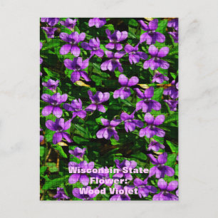 WI State Flower Wood Violet Mosaic Mönster Vykort