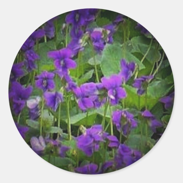 WI-trästölder fläckar Runt Klistermärke (Framsida)