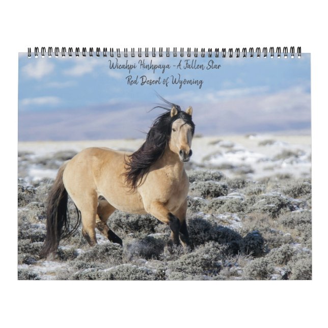 Wicahpi Hinhpaya - A Fallen Star: 2026 Calendar Kalender (Omslag)