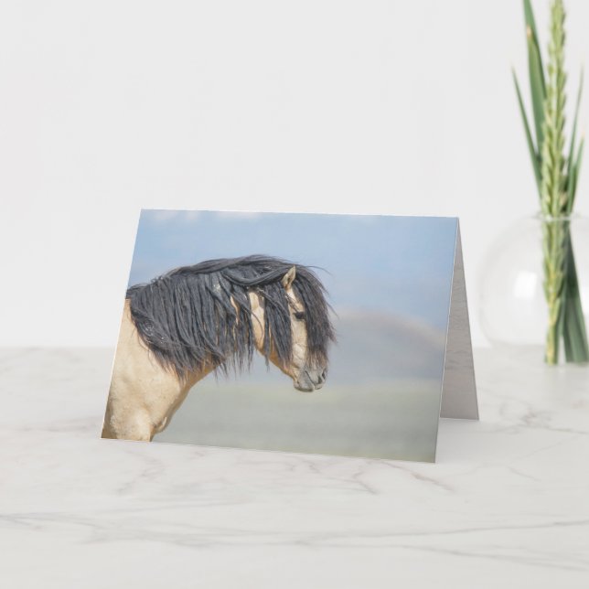 Wicahpi Hinhpaya (Fallen Star), tomt kort (Framsida)