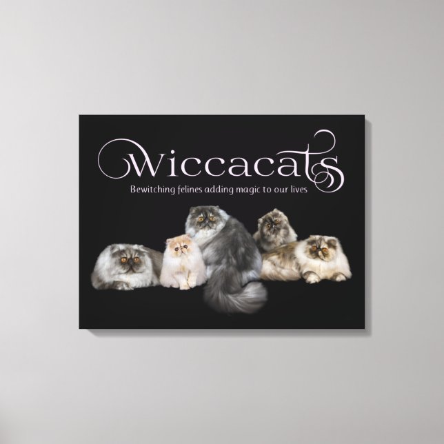 WiccaCats art canvas (Framsida)