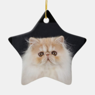 WiccaCats Meira-stjärnornas ornament