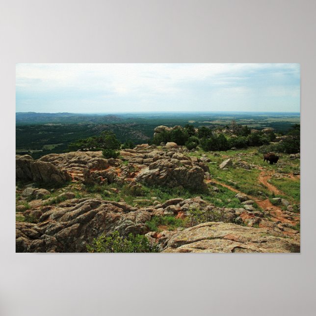 Wichita Mountains Vista with American Bison Poster (Framsidan)