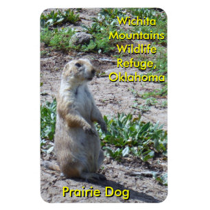 Wichita Mountains Wildlife Refuge Prairie Hund Magnet