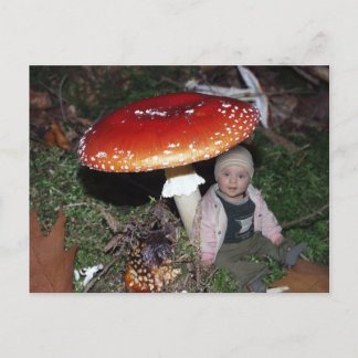 Wichtel - Zwerg unter dem Fliegenpilz Vykort