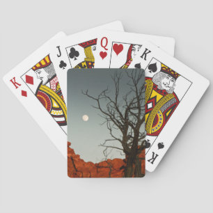 Wicked Måne Casinokort
