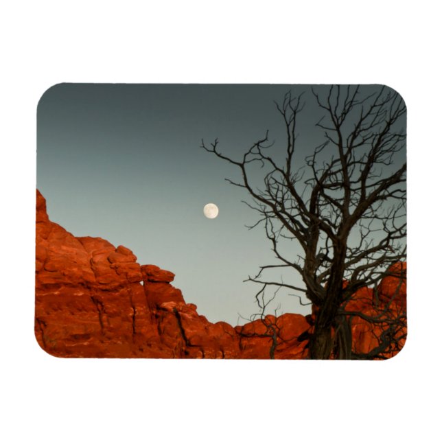 Wicked Måne Magnet (Horisontell)