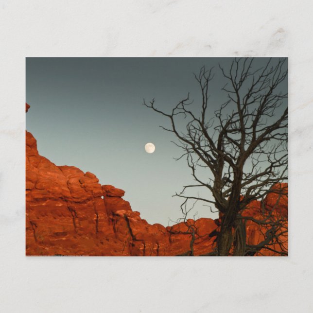 Wicked Måne Vykort (Framsida)