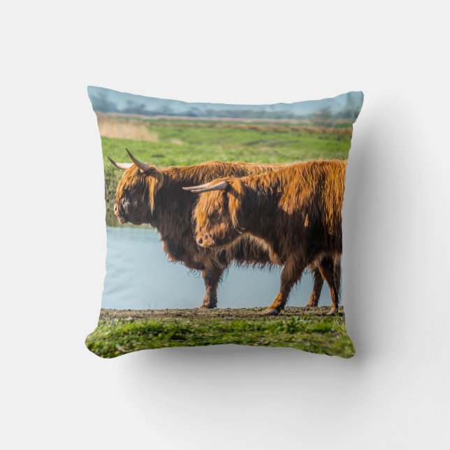 Wicken Fen cattle Kudde (Framsida)