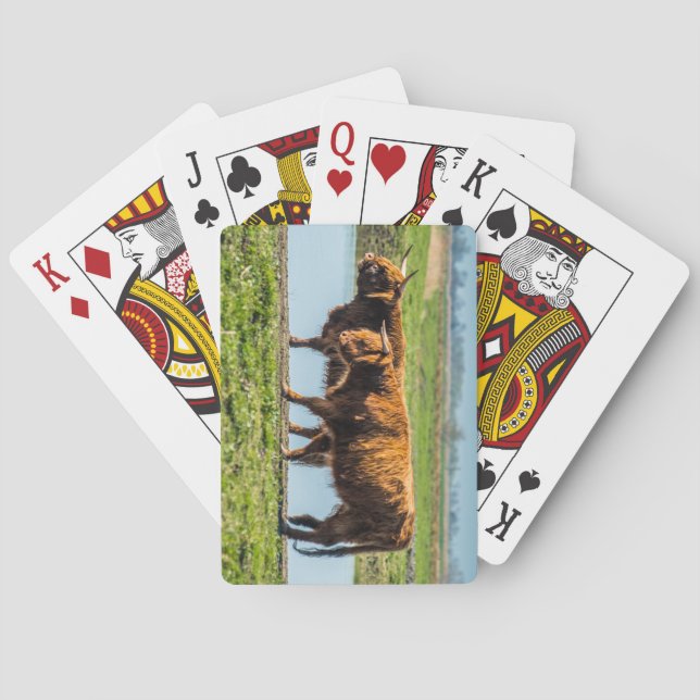 Wicken Fen nötkreatur Casinokort (Baksidan)
