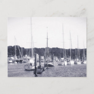 Wickford Harbor Rhode island BW-utskrift Vykort