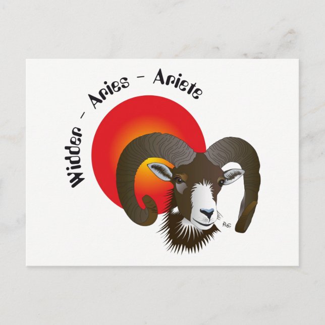 Widder Sternzeichen Postkarte Vykort (Framsida)