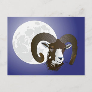 Widder Sternzeichen Postkarte Vykort