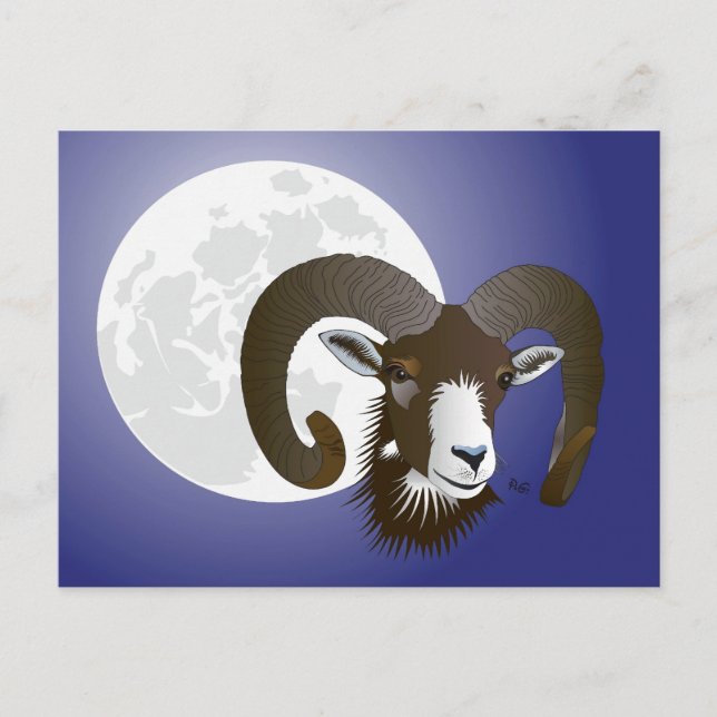 Widder Sternzeichen Postkarte Vykort (Framsida)