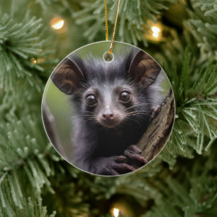 Wide Eyed Aye Aye i A Träd, Julgransprydnad Keramik