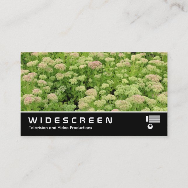 Widescreen 0424 - Sedum (Höstglädjen) Visitkort (Framsida)
