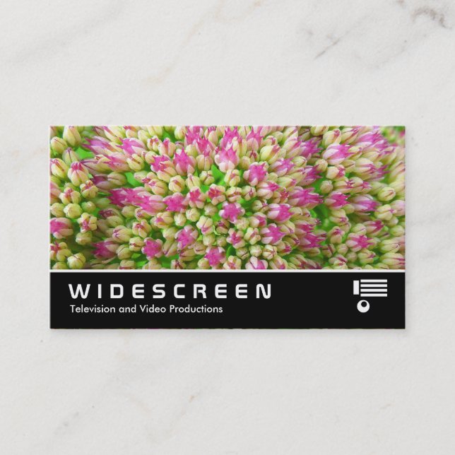 Widescreen 349 - Sedum "Autumn Joy" Visitkort (Framsida)